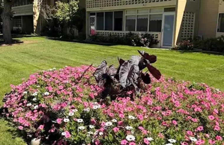 710 S CLINTON ST APT 7A, DENVER, CO, 802..., Denver, CO 80247