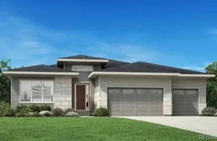 398 AGOSERIS WAY, CASTLE ROCK, CO, 80104, Castle Rock, CO 80104