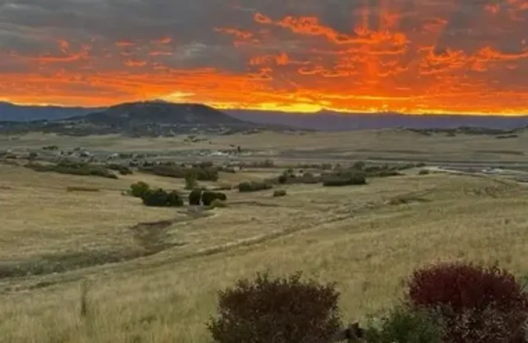 227 SCRUBJAY LN, CASTLE ROCK, CO, 80104, Castle Rock, CO 80104