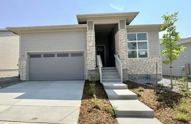 415 BASIN DAISY ST, CASTLE ROCK, CO, 801..., Castle Rock, CO 80104