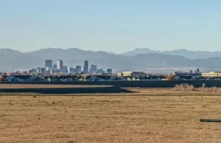 300 S CLINTON ST 8C, DENVER, CO, 80247, Denver, CO 80247