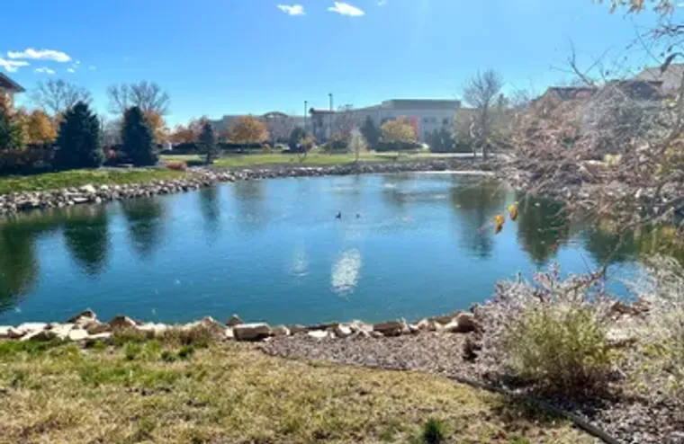 4835 HAHNS PEAK DR 203, LOVELAND, CO, 80..., Loveland, CO 80538