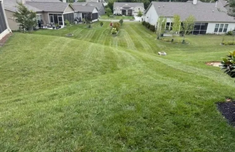 1055 SUMNER GRV, SPRING HILL, TN, 37174, Spring Hill, TN 37174