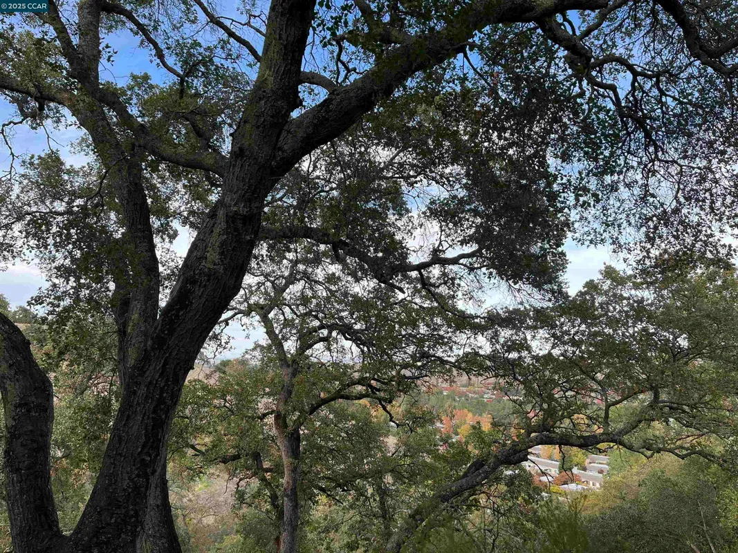 Property Slideshow image 1 of 2 | 3120 ptarmigan dr 3, Walnut Creek, CA, 94595