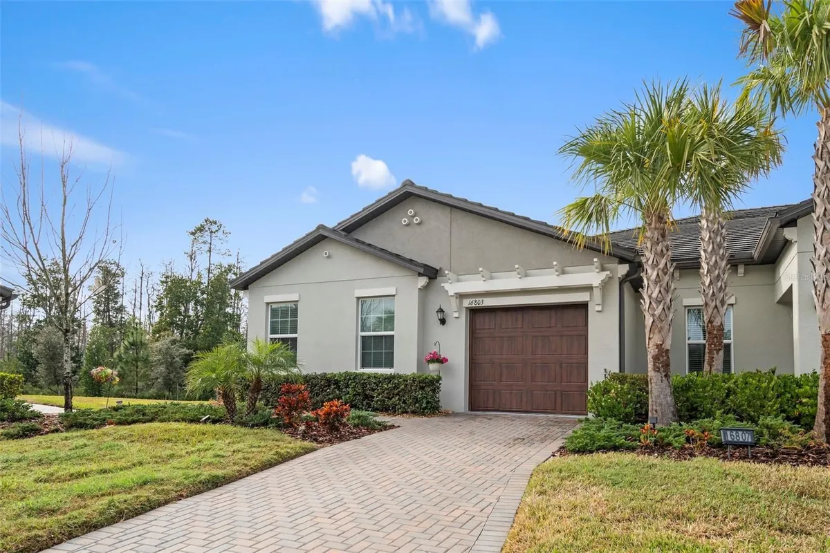 Property Slideshow image 1 of 51 | 16803 forge surf st, Land O Lakes, FL, 34638