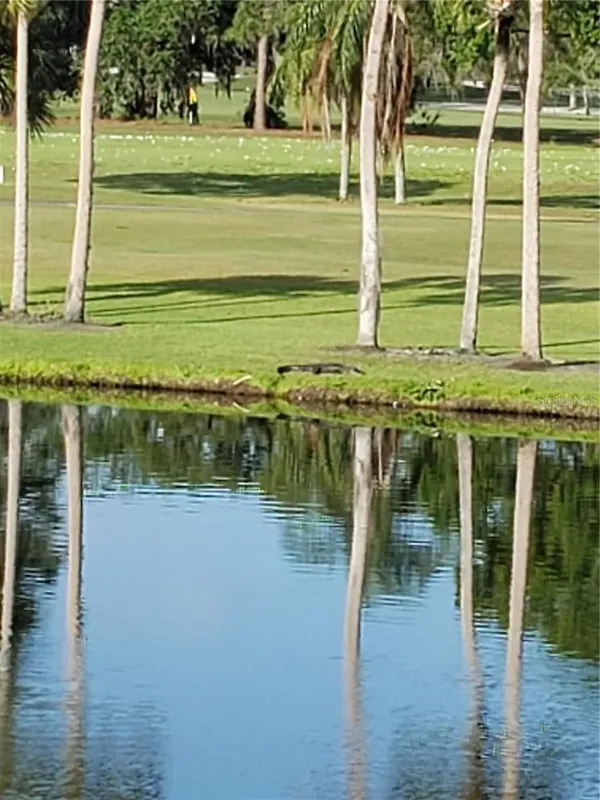 Property Slideshow image 1 of 34 | 5709 avista dr 4108, Sarasota, FL, 34243