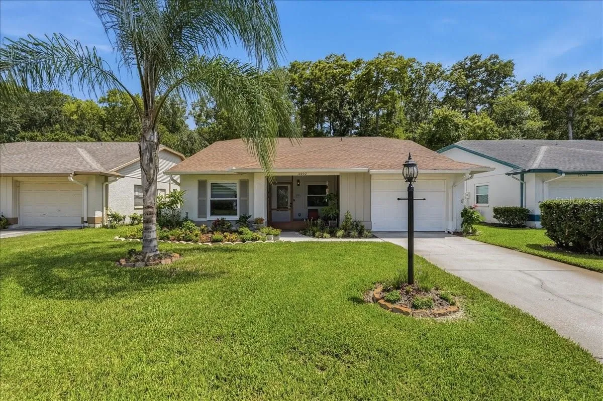 Property Slideshow image 1 of 58 | 11602 white ash dr, New Port Richey, FL, 34654