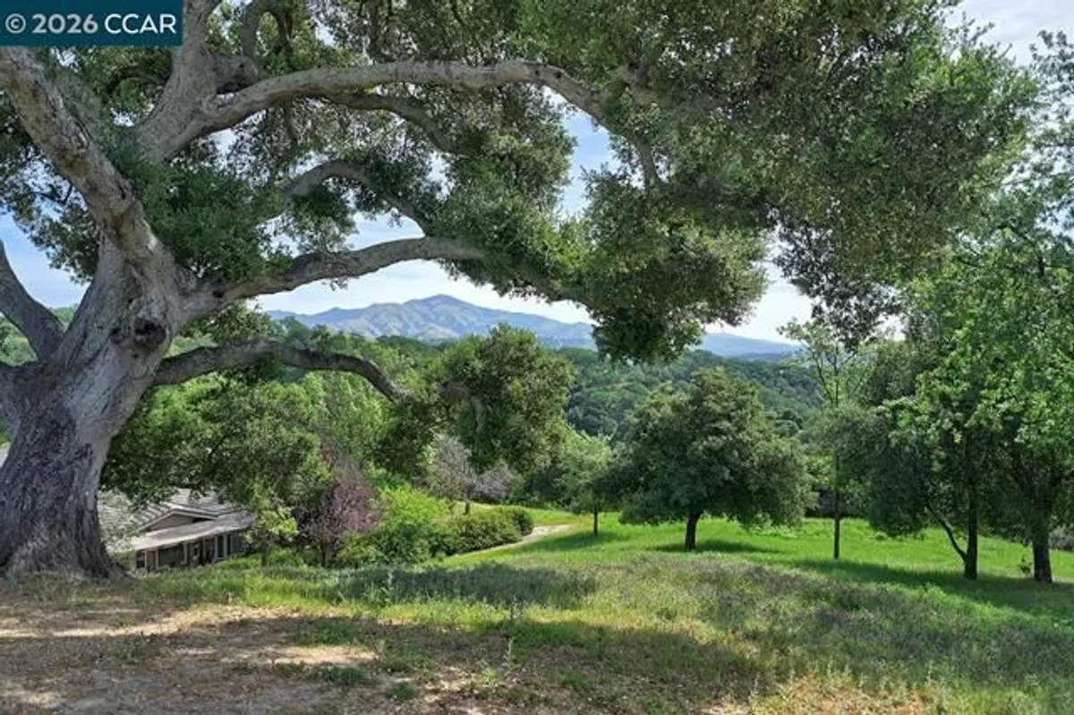 Property Slideshow image 1 of 60 | 532 spotted owl ct, Walnut Creek, CA, 94595