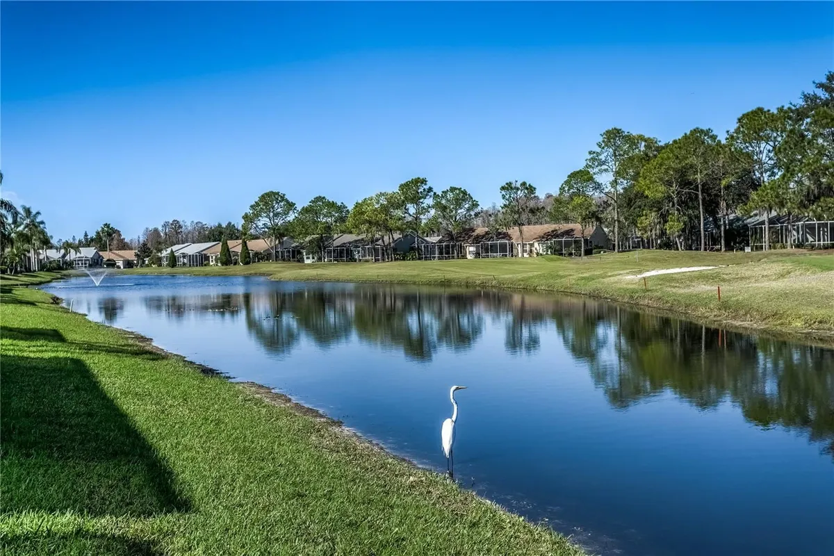 Property Slideshow image 1 of 36 | 20931 jaffa ln, Land O Lakes, FL, 34637